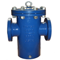 Fabricated Basket Strainer