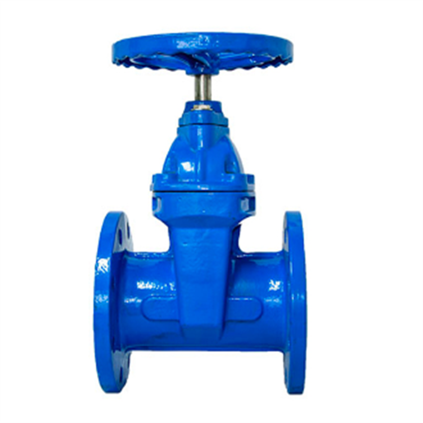Soft Seal Gate Valve