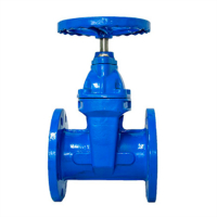 Soft Seal Gate Valve