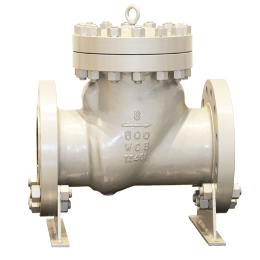 Swing Check Valve
