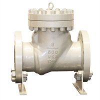 Swing Check Valve