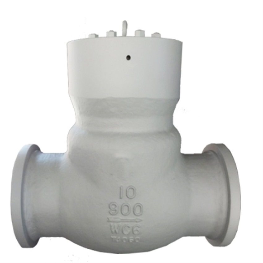 Pressure Seal Check Valve