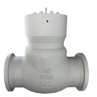 Pressure Seal Check Valve